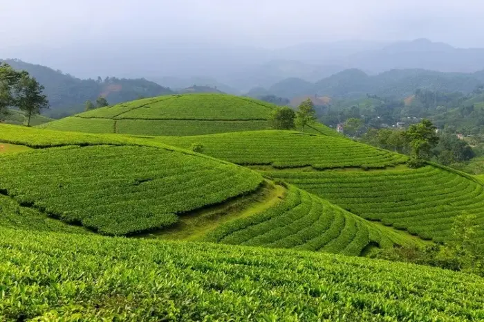 10 Tempat Wisata di Majalengka yang Wajib Dikunjungi untuk Pengalaman Alam & Budaya